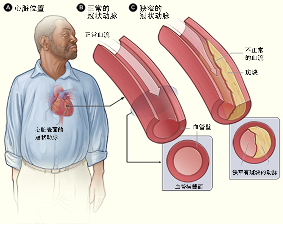 2024年澳门原料网历史记录