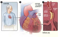 2024年澳门原料网历史记录