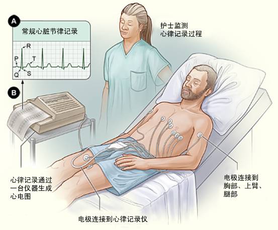 2024年澳门原料网历史记录