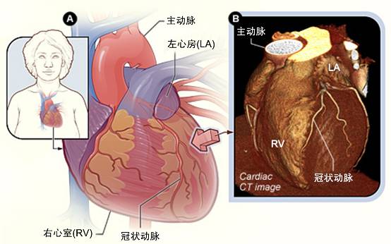 2024年澳门原料网历史记录