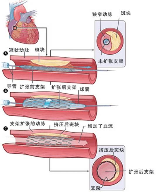 2024年澳门原料网历史记录