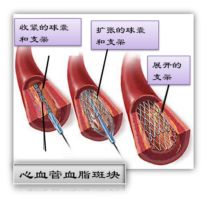 2024年澳门原料网历史记录