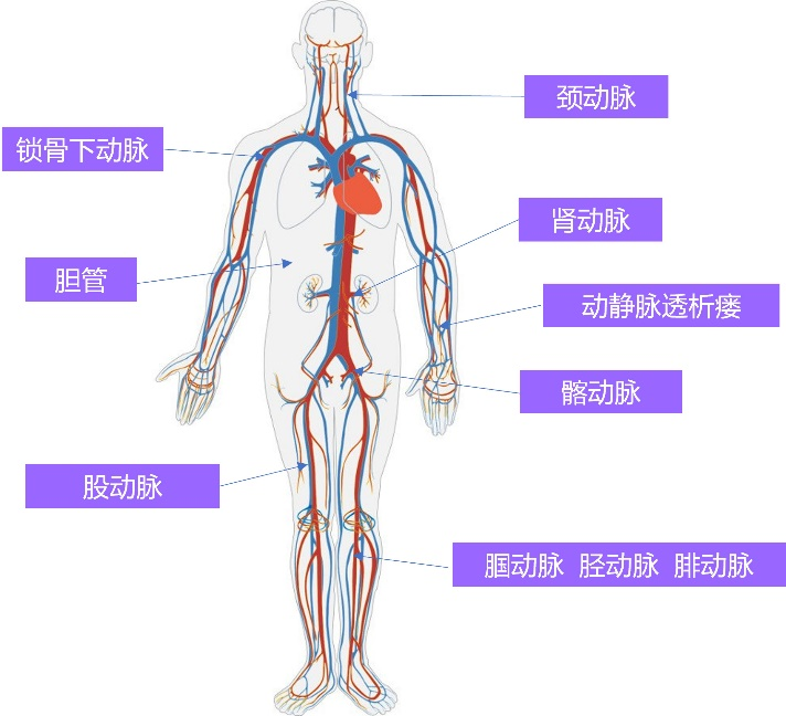 2024年澳门原料网历史记录